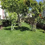 Antica Cres